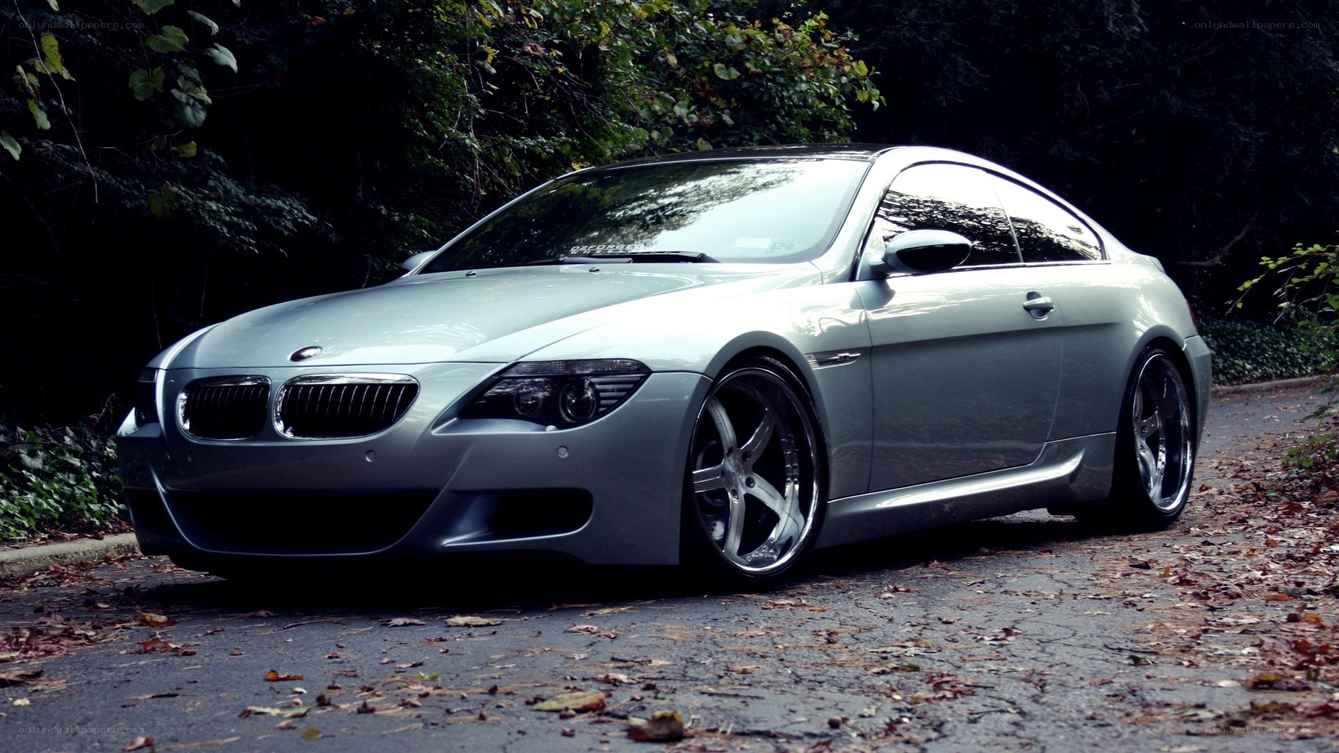 silver bmw coupe on road