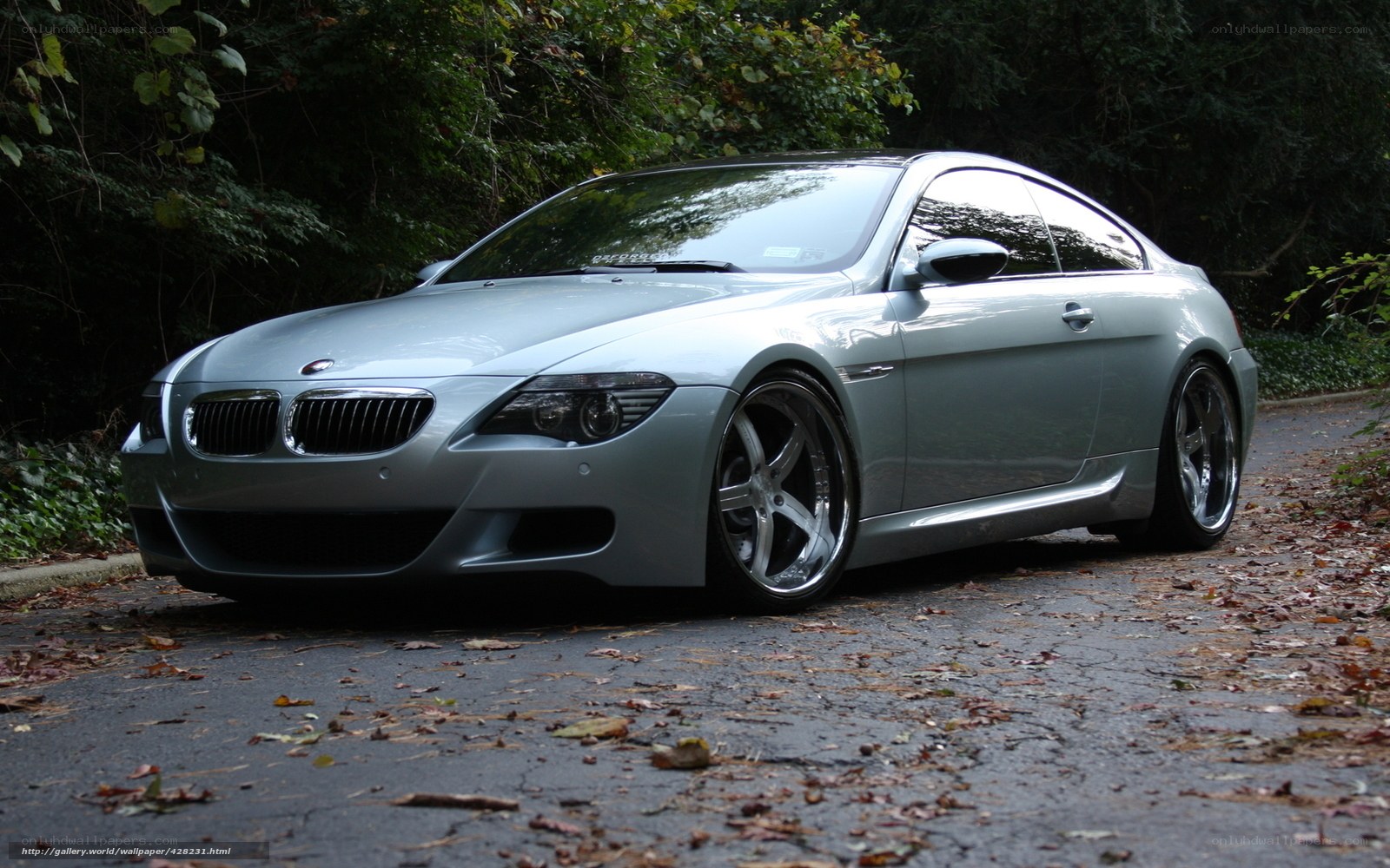 silver bmw coupe on road