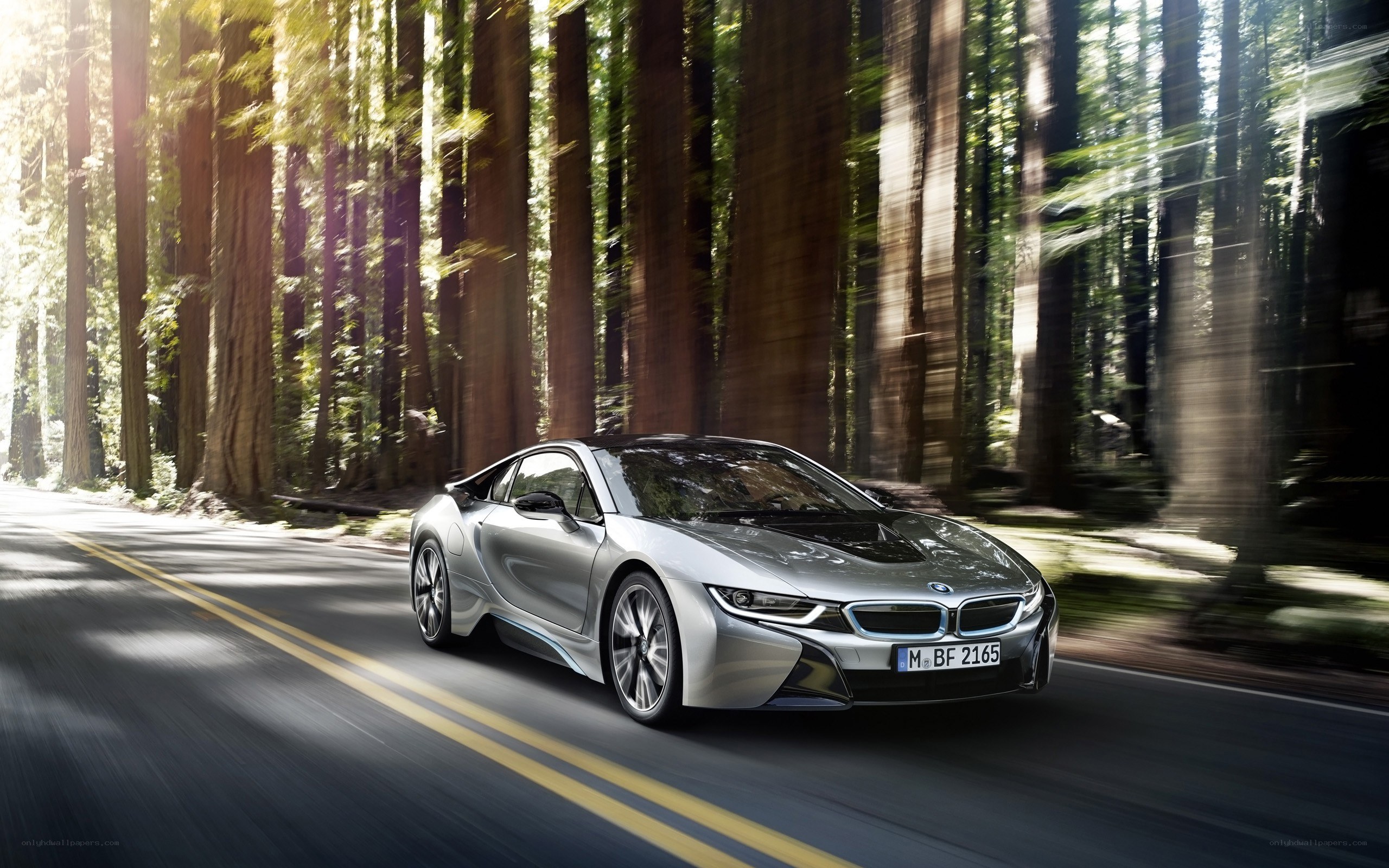 Silver BMW i8 in forest