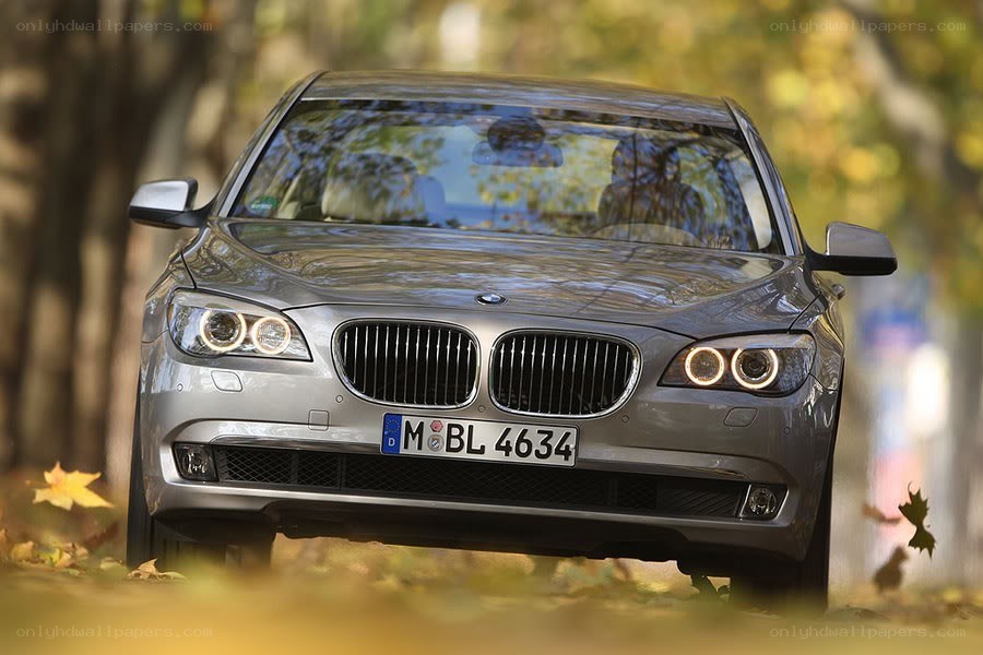 Silver BMW in autumn setting