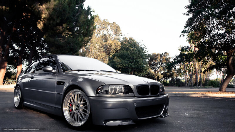 Silver BMW M3 Coupe — Gray, Dramatic, Afternoon, Photograph, Trees