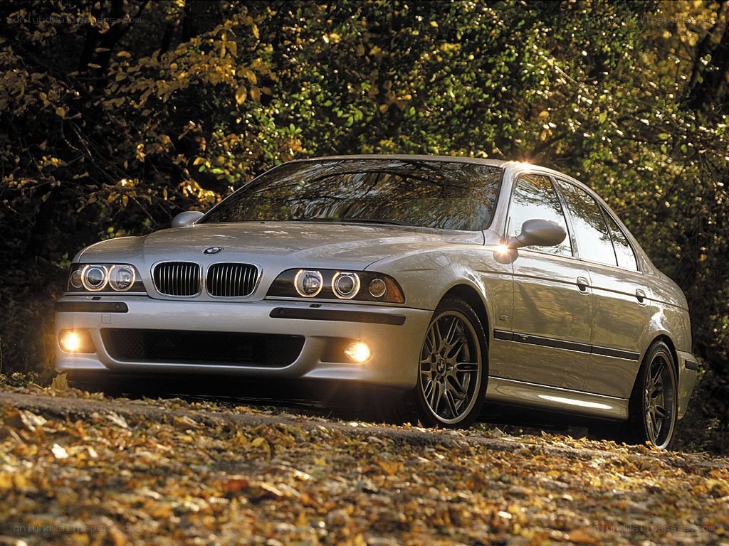 silver bmw m5 in autumn