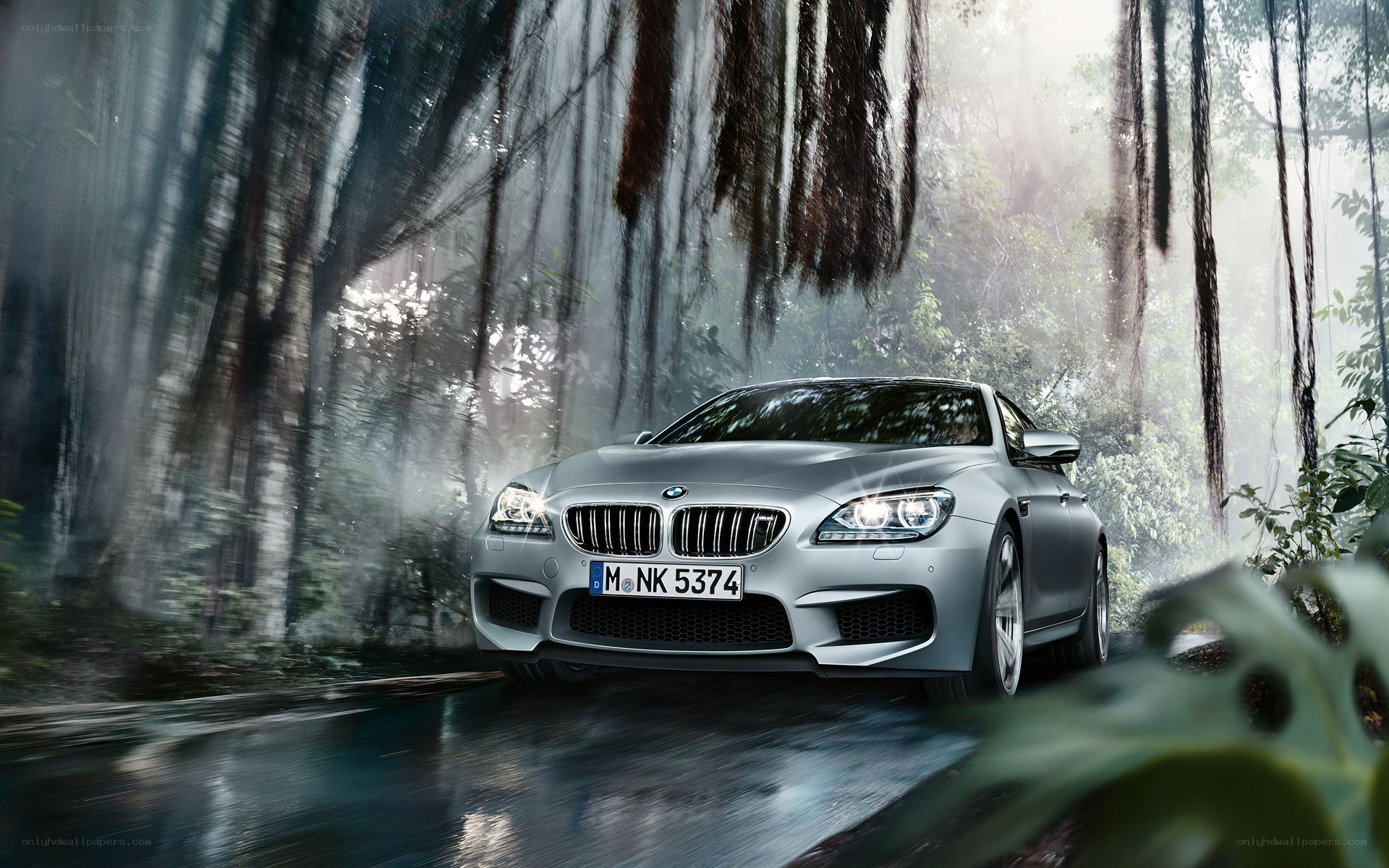 Silver BMW M6 in a misty forest