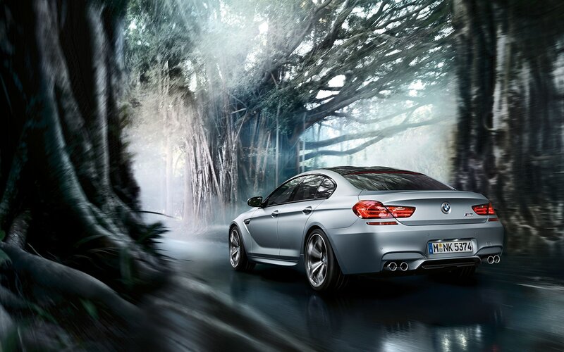 Silver BMW M6 in forest tunnel