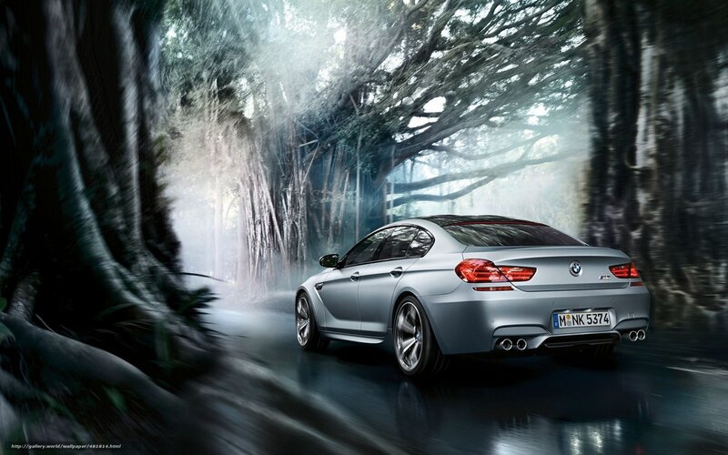 Silver BMW M6 in forest tunnel