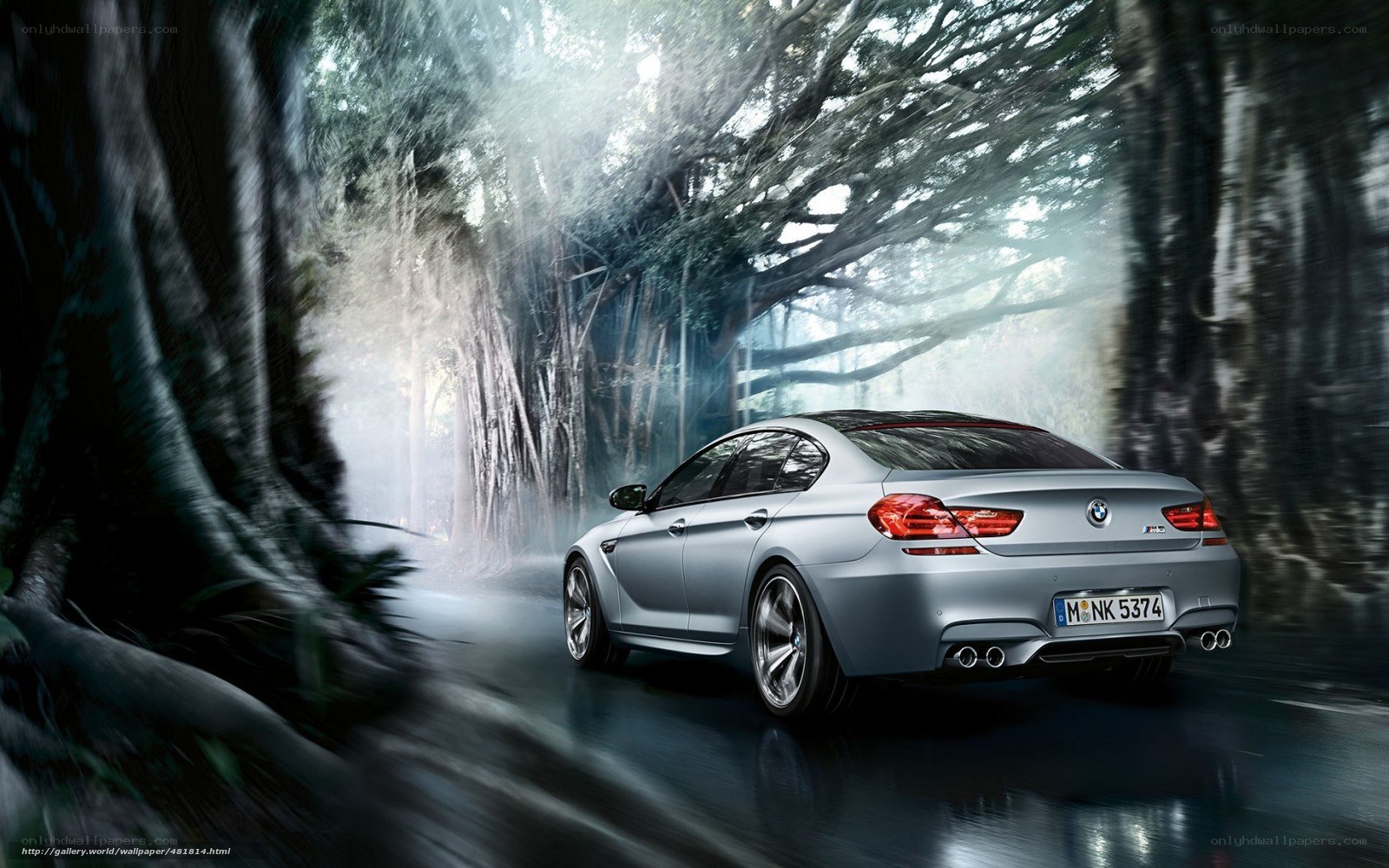 Silver BMW M6 in forest tunnel