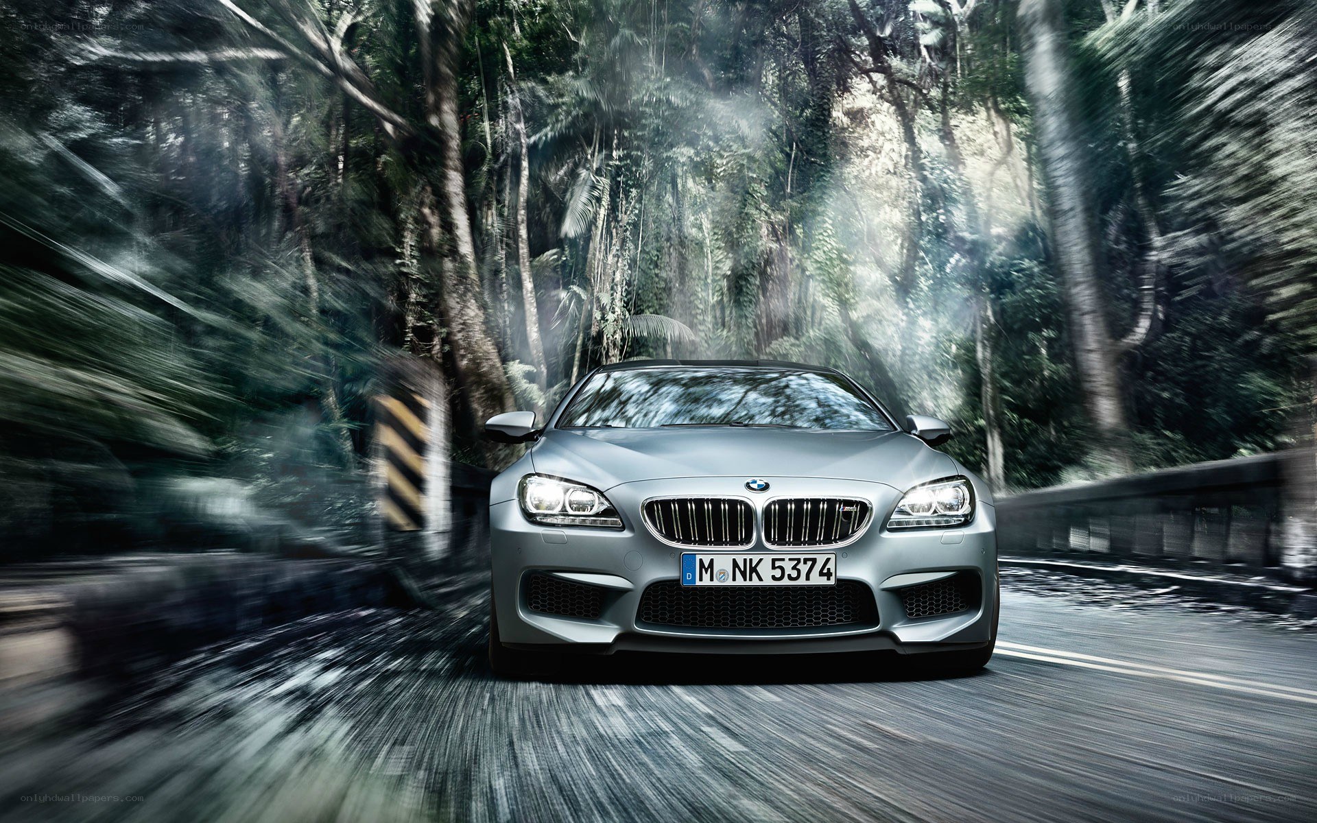 Silver BMW M6 in forest