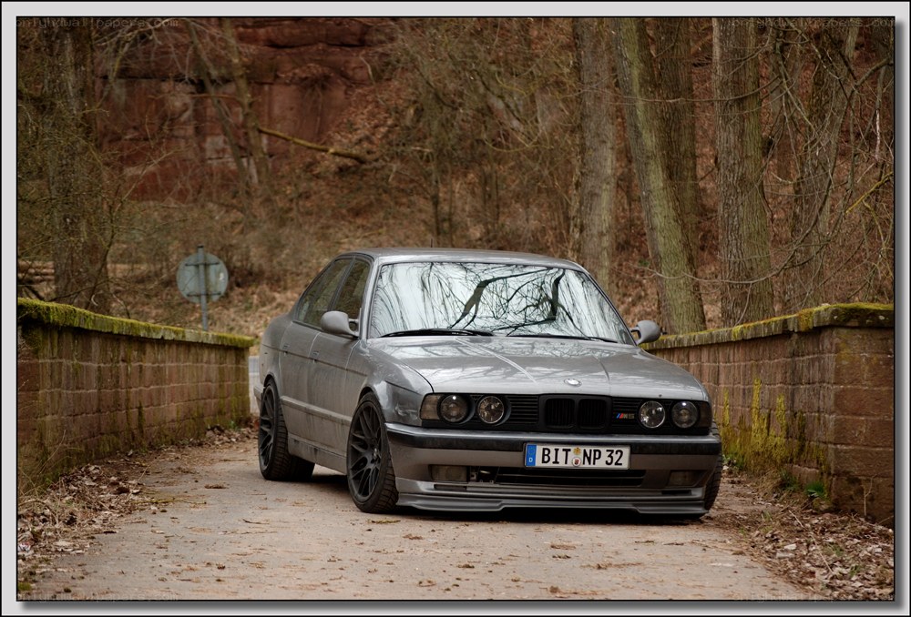 silver bmw on a forest road