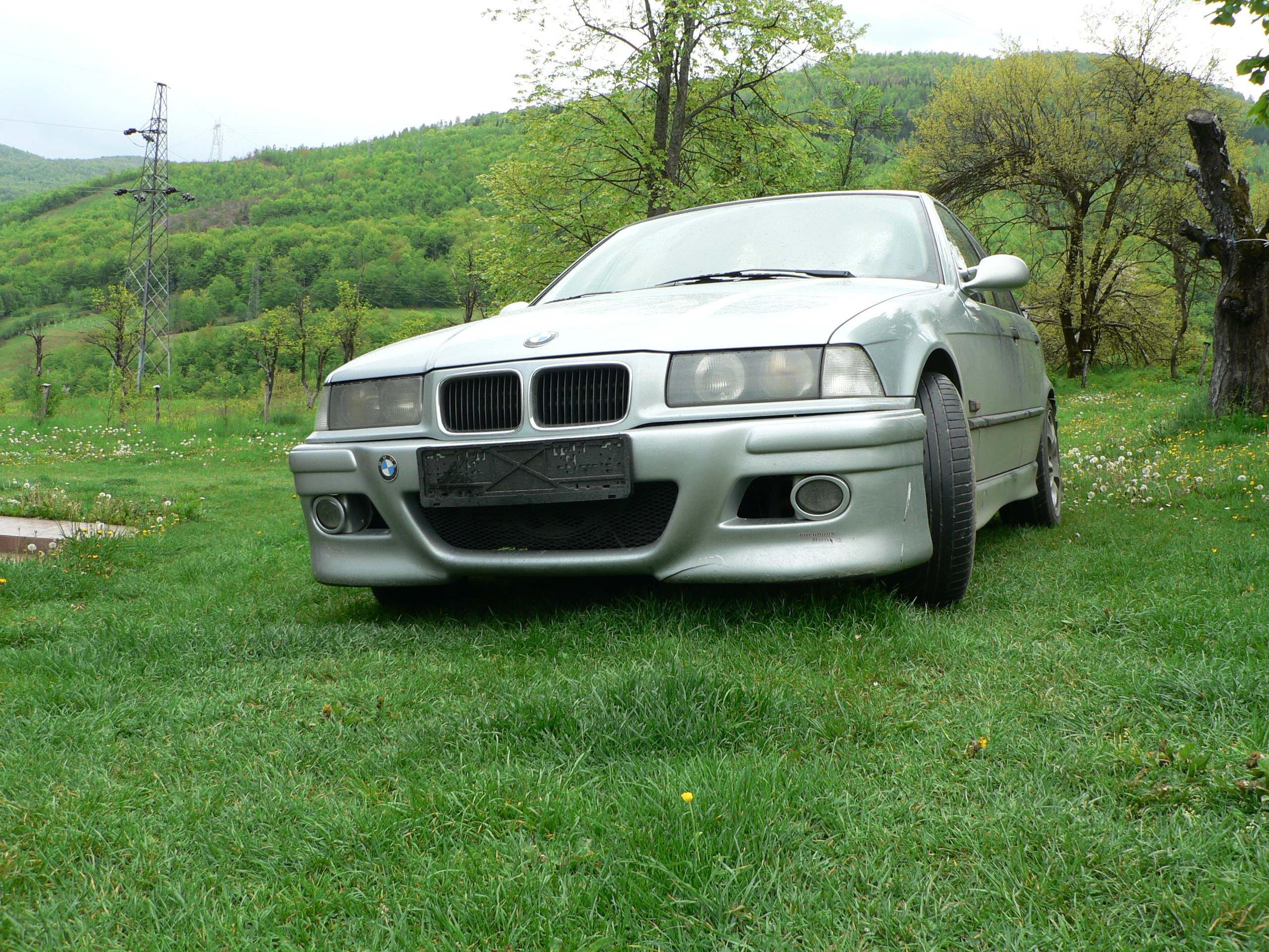 Silver BMW on a grassy field