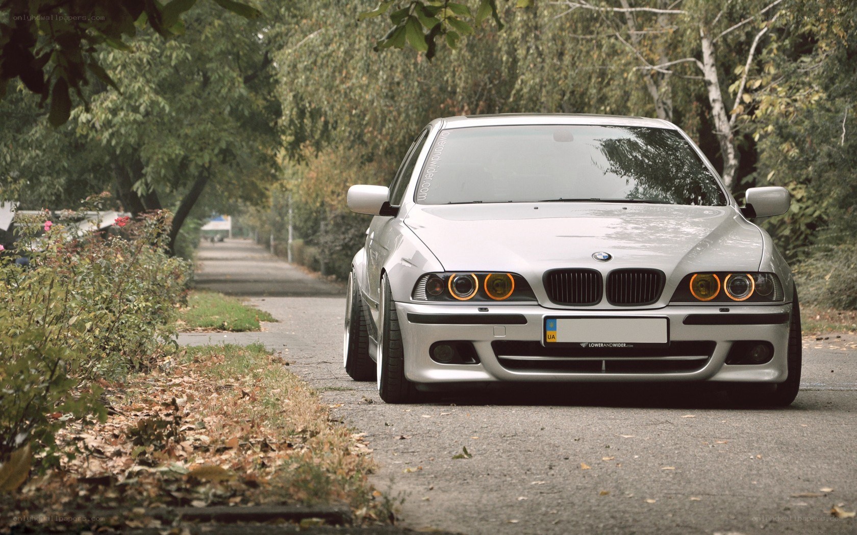silver bmw on a tree-lined road