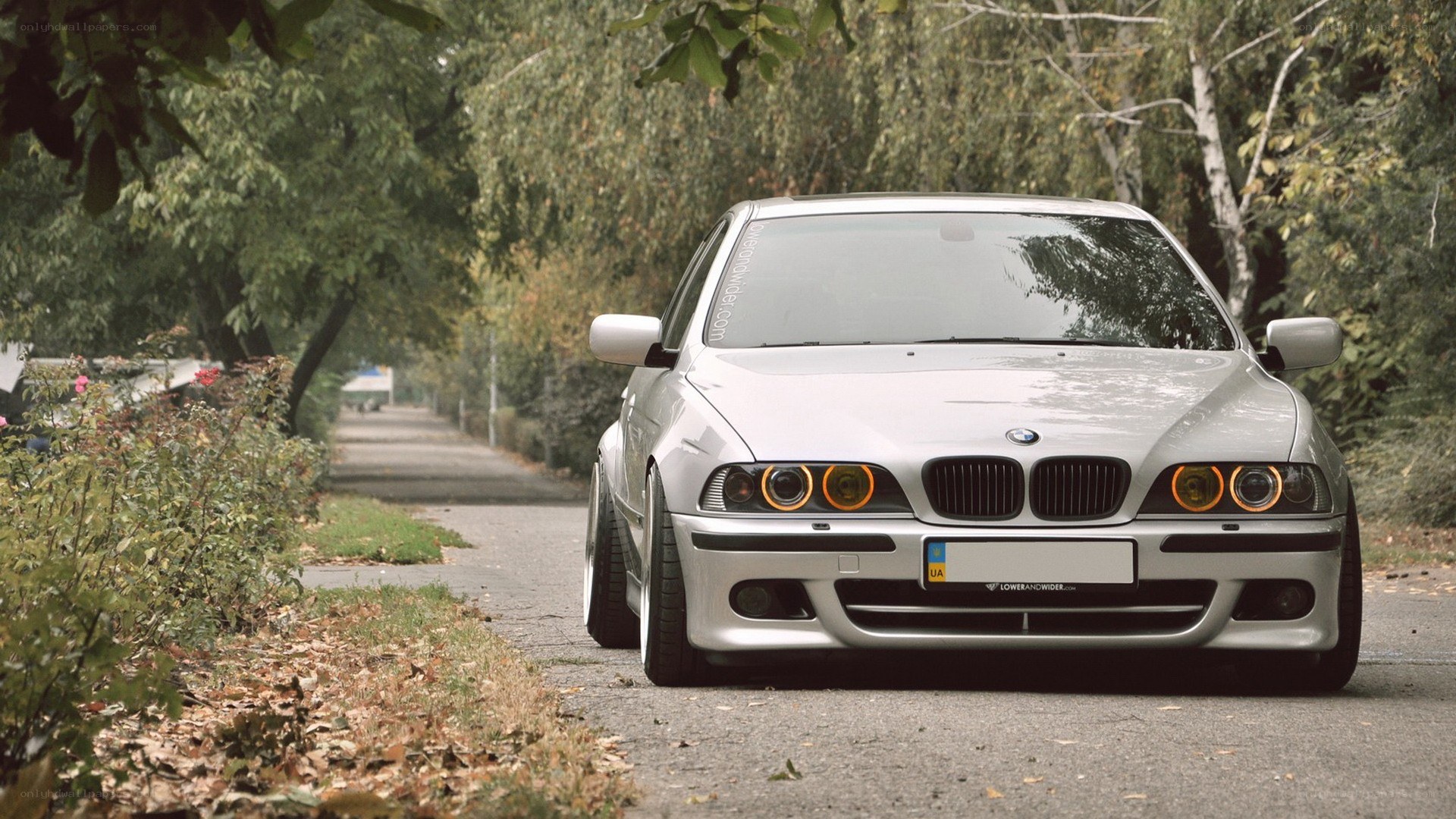 silver bmw on a tree-lined road