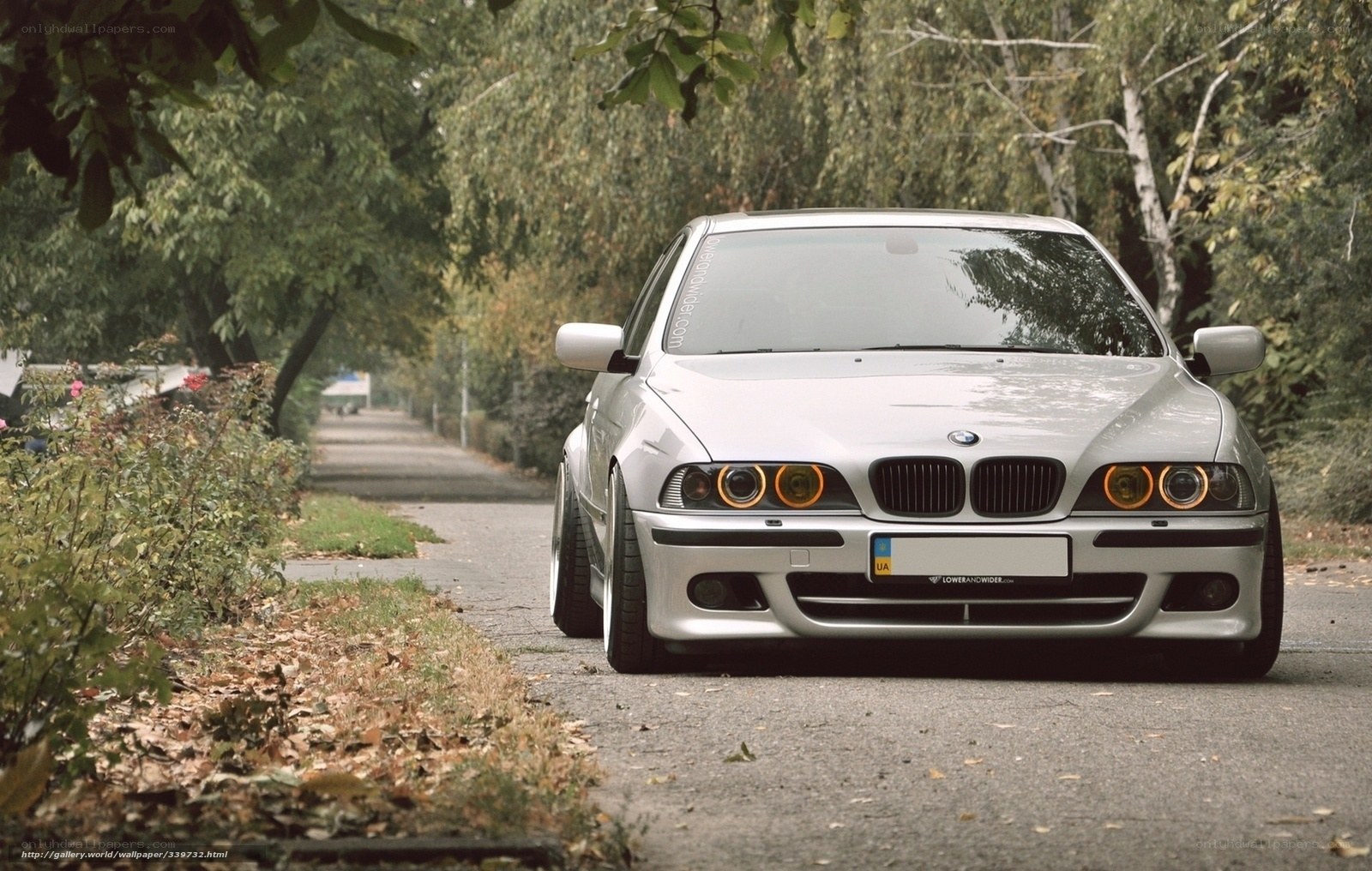 silver bmw on a tree-lined road