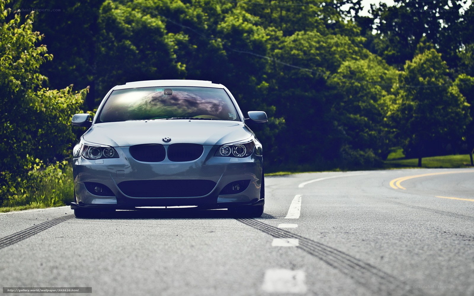 silver bmw on a winding road