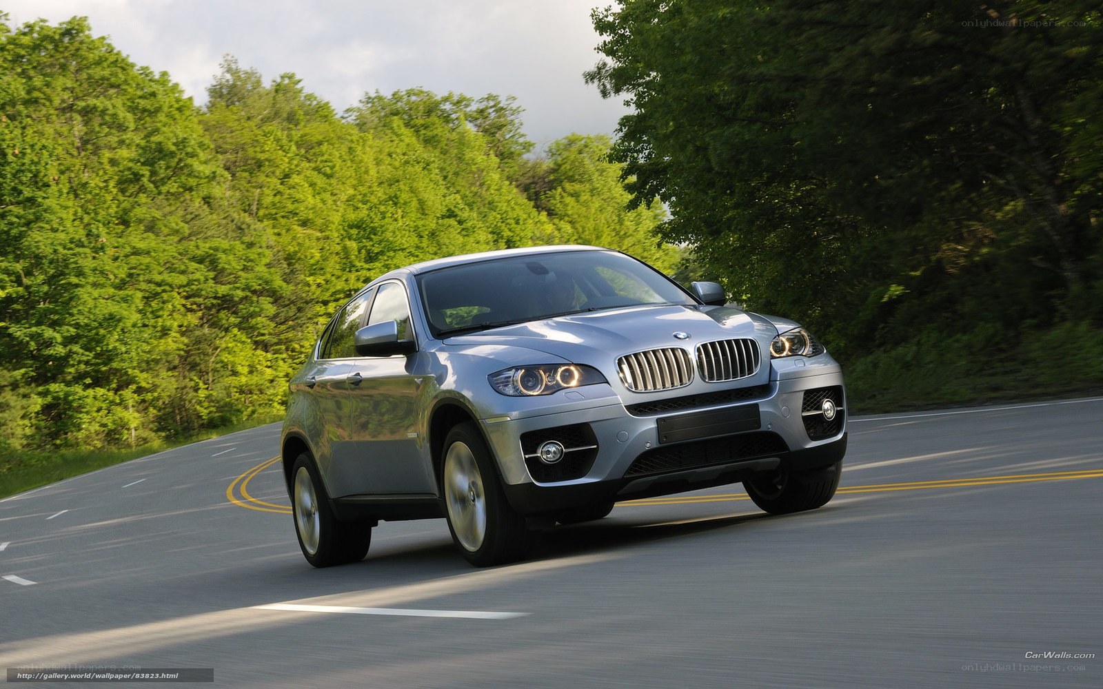 silver bmw suv on a road