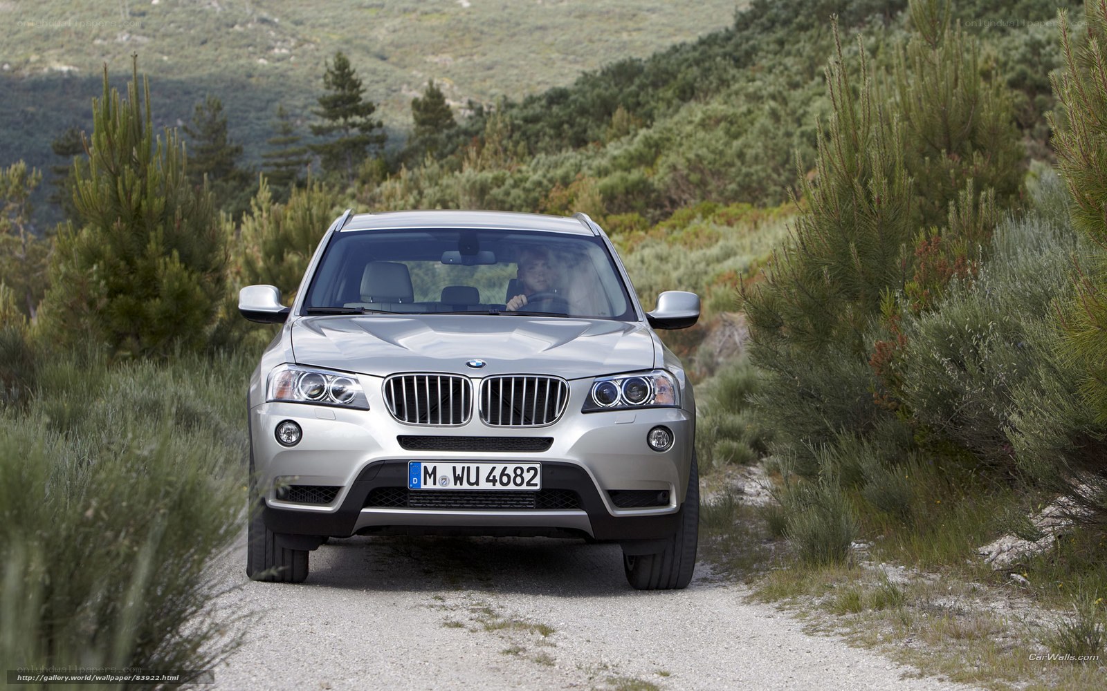 silver bmw suv on dirt road
