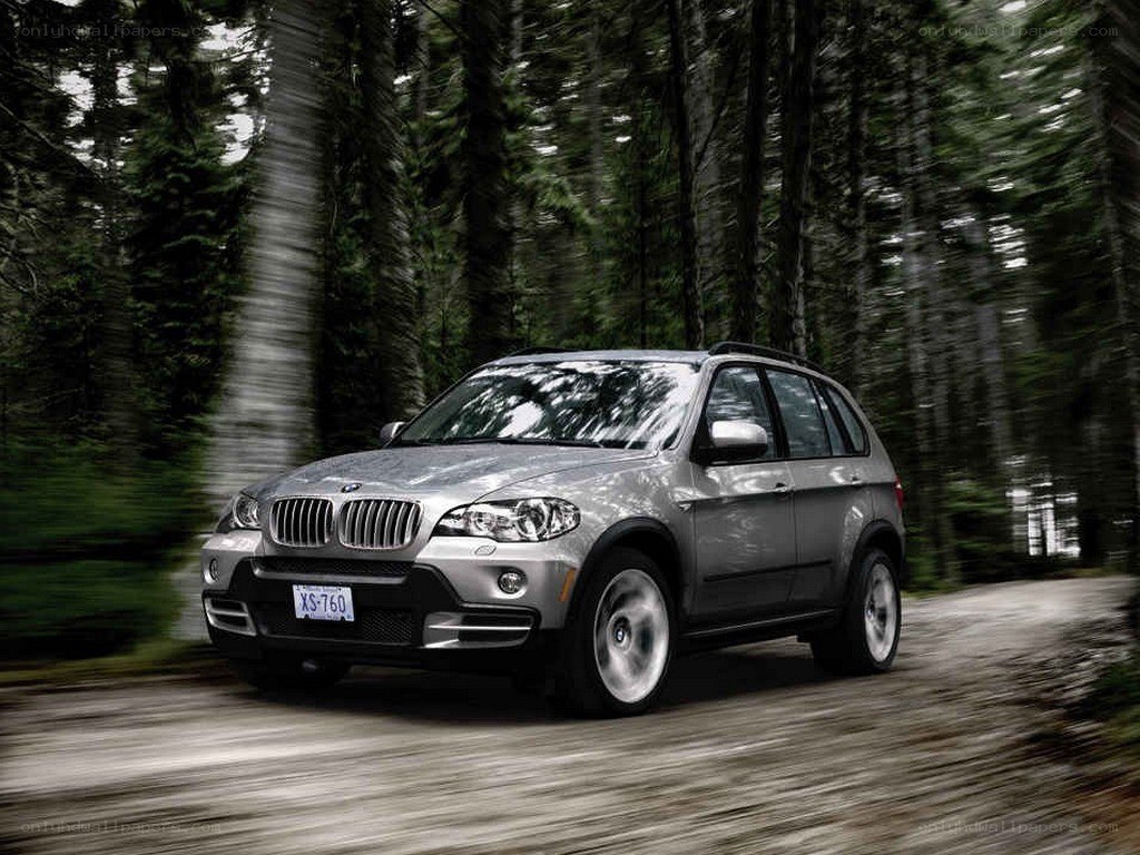 Silver BMW SUV on forest road
