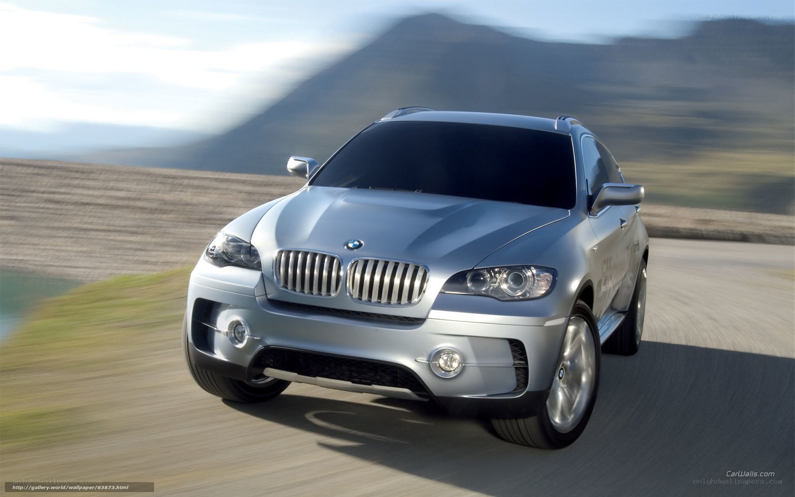 silver bmw suv on road