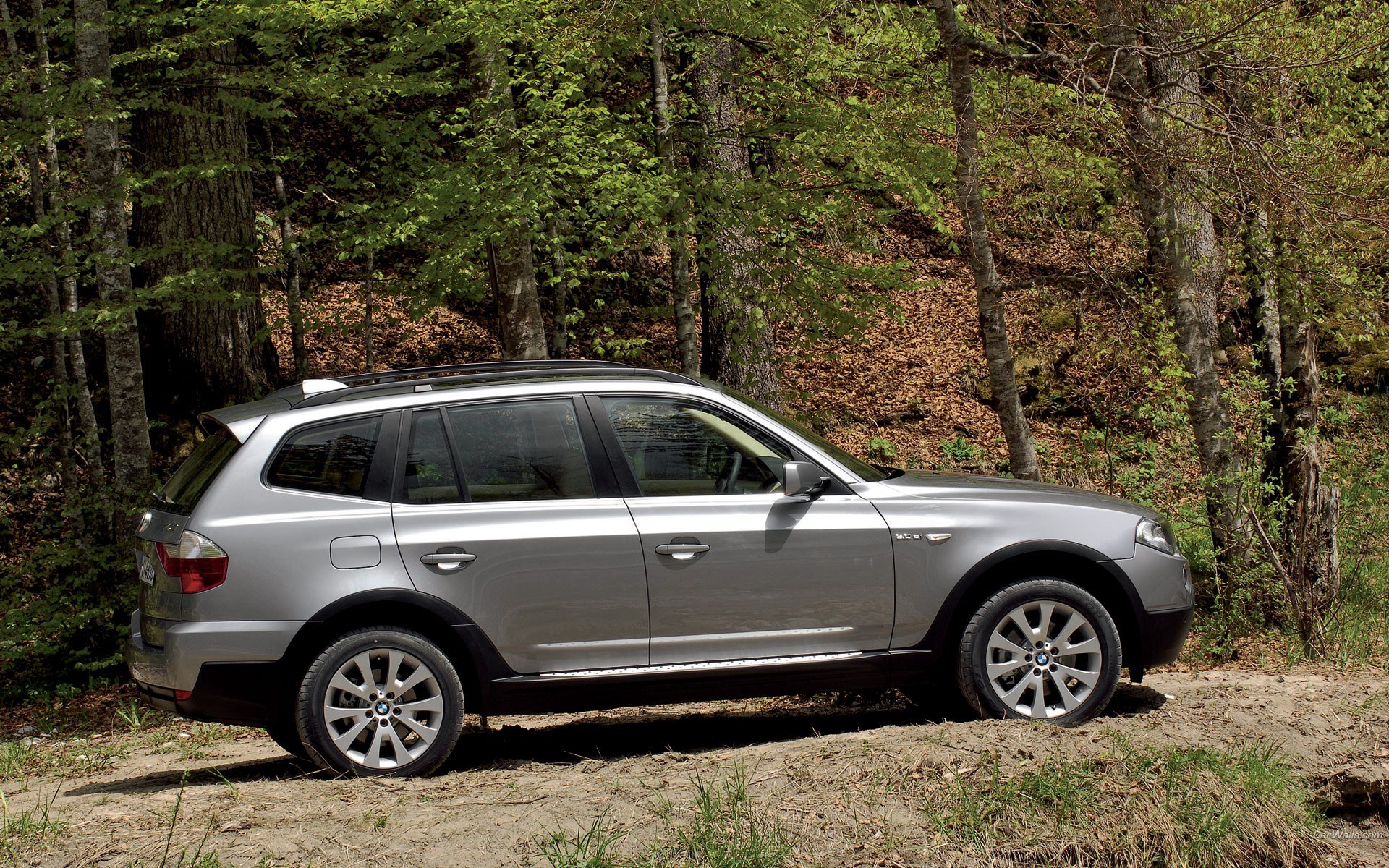 Silver BMW X3 in forest