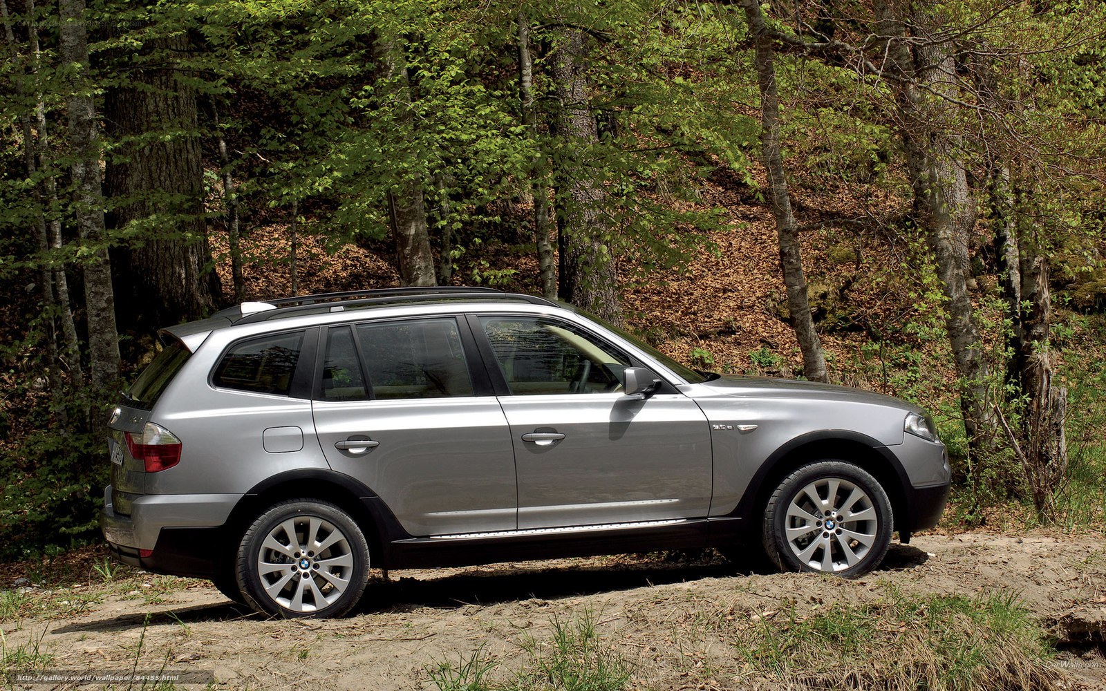 silver bmw x3 in forest