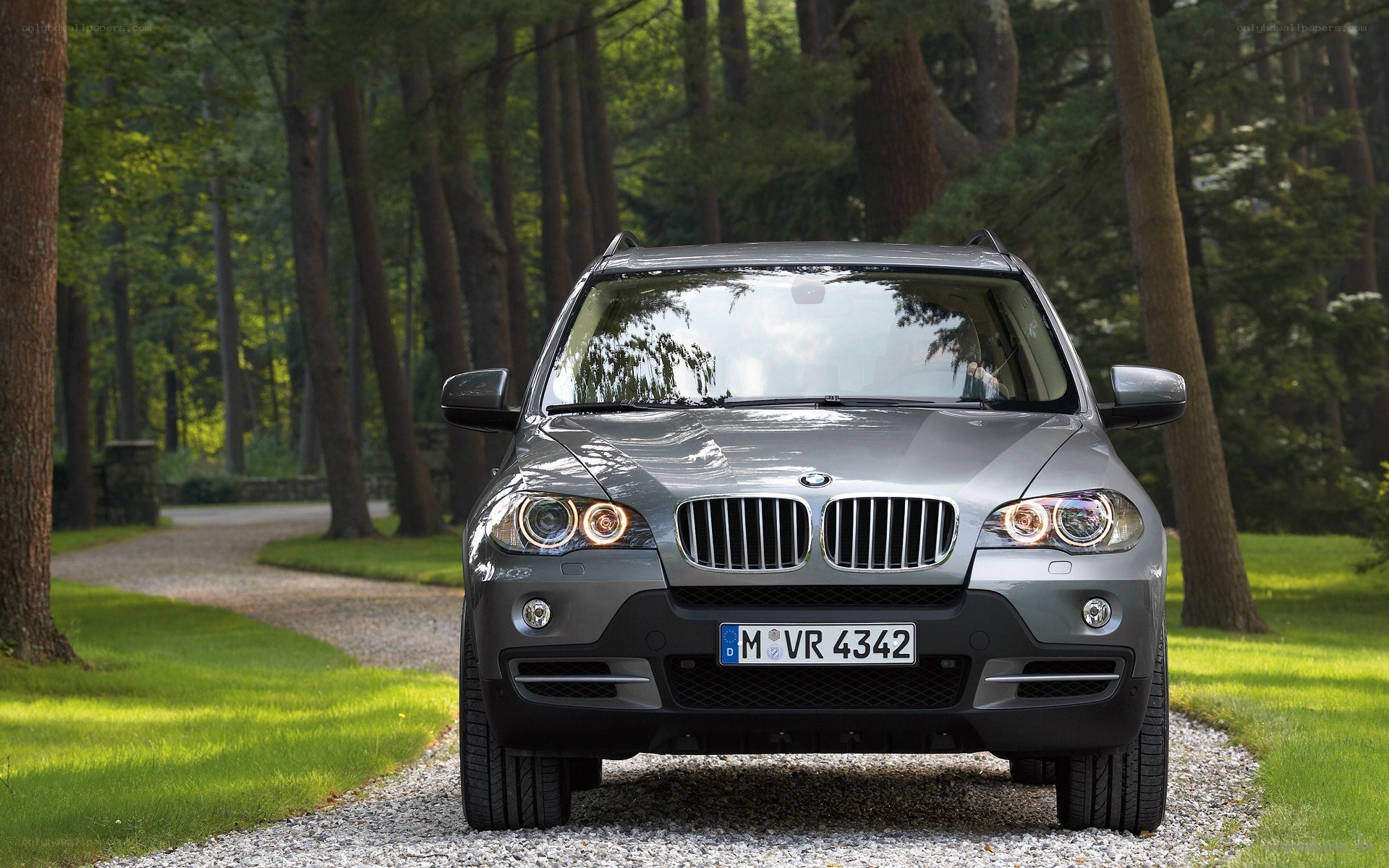 Silver BMW X5 in forest