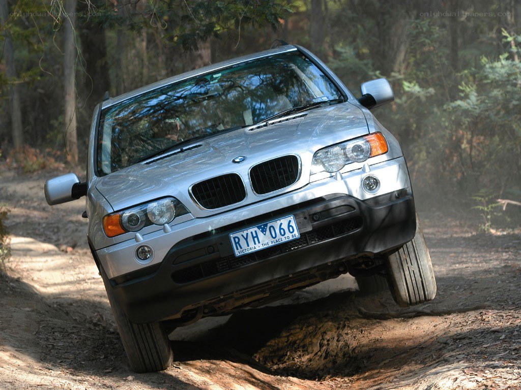 Silver BMW X5 on a forest trail