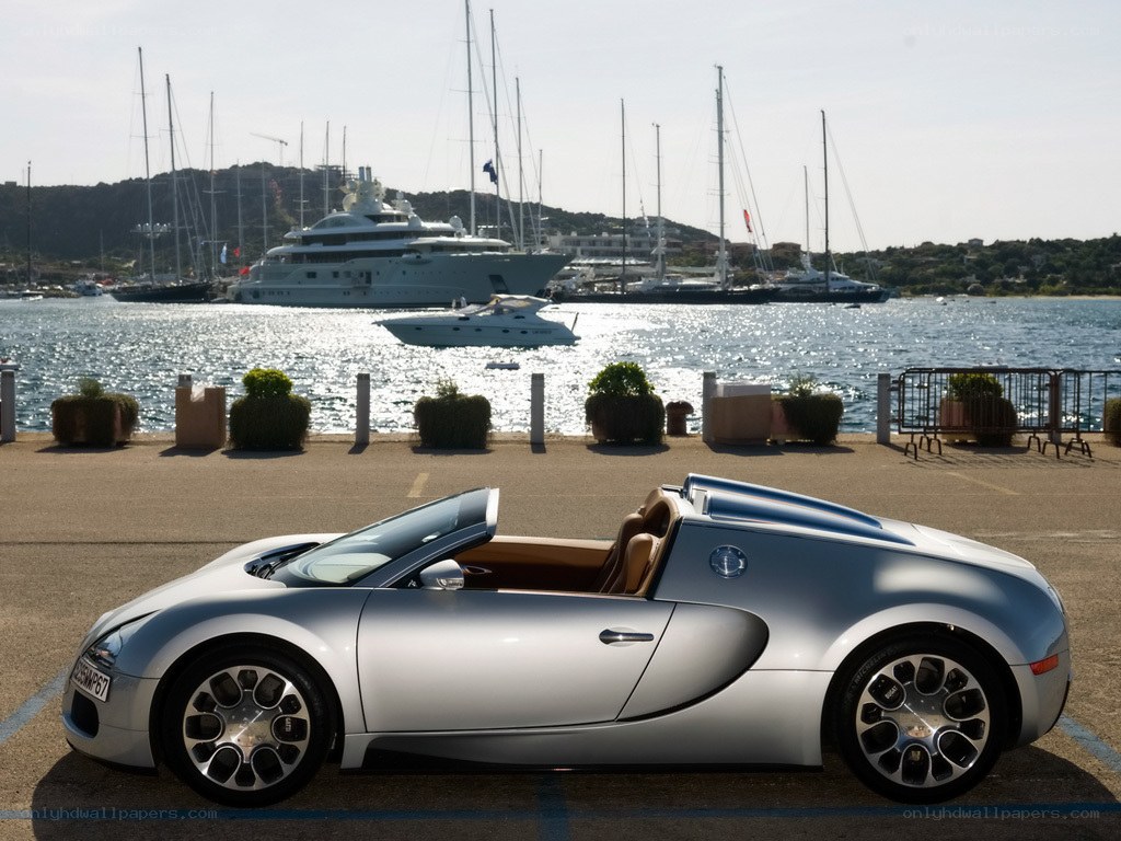 Silver Bugatti Veyron parked by marina
