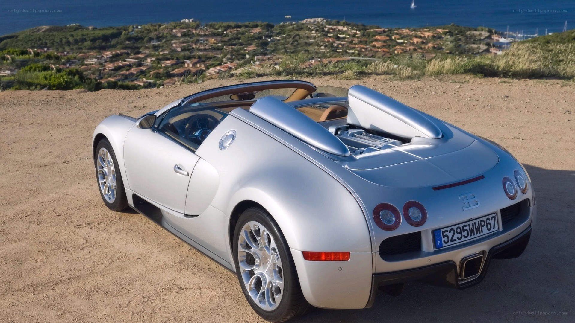 Silver Bugatti Veyron parked on a hill