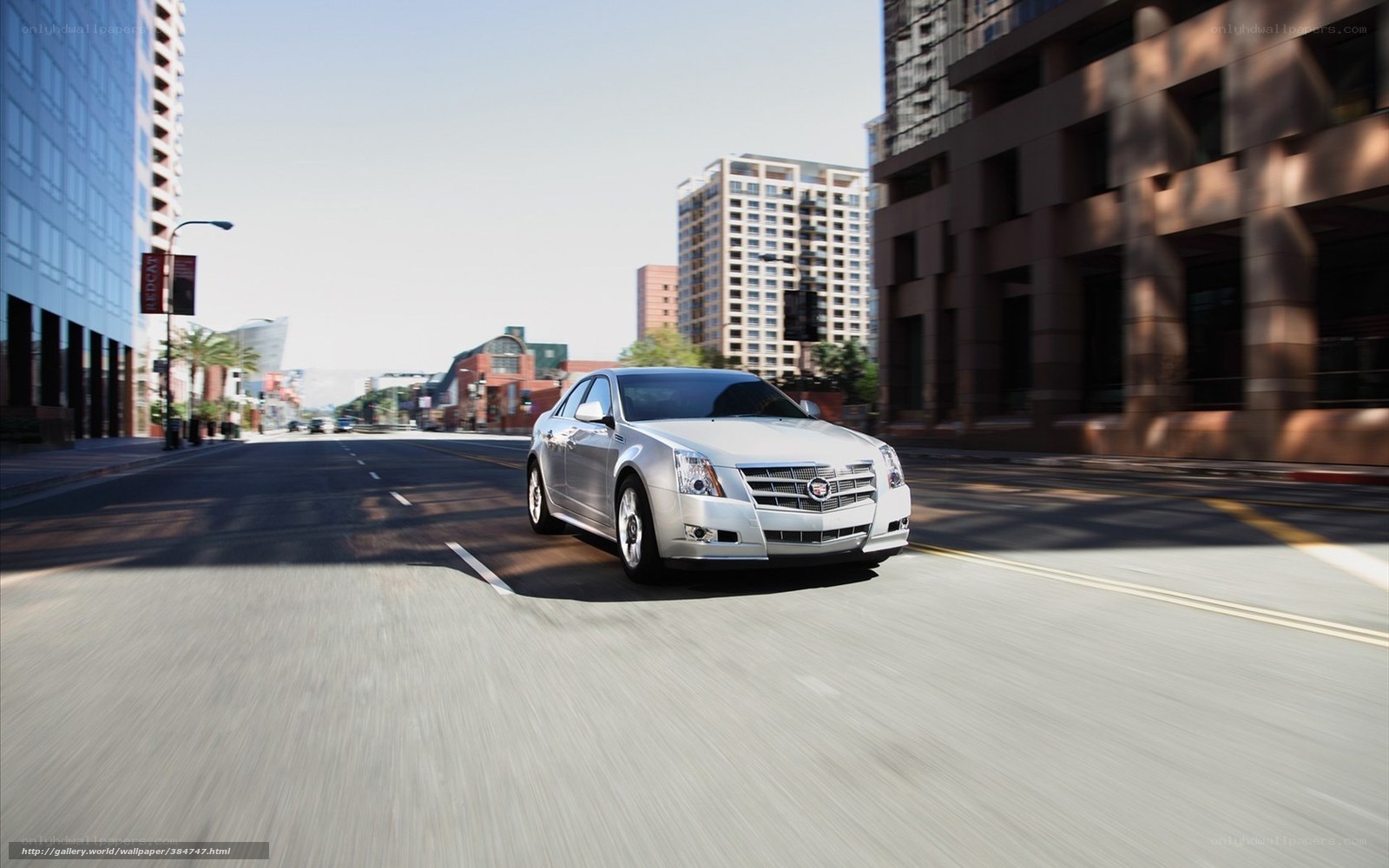 Silver Cadillac driving in city