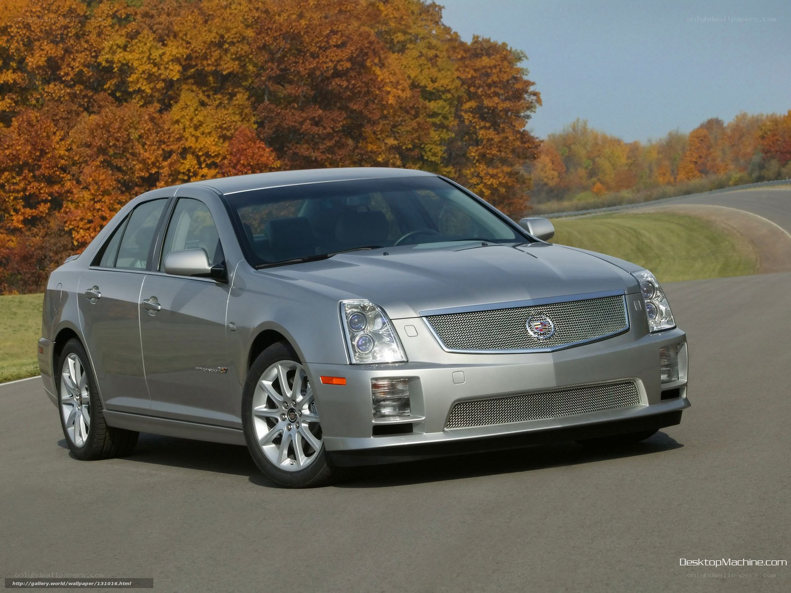 silver cadillac on autumn road