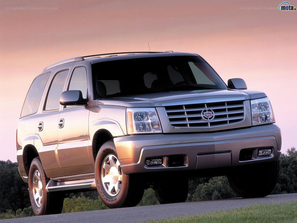 silver cadillac suv on road