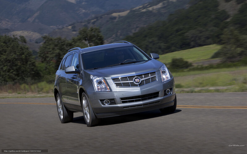 silver cadillac suv on road