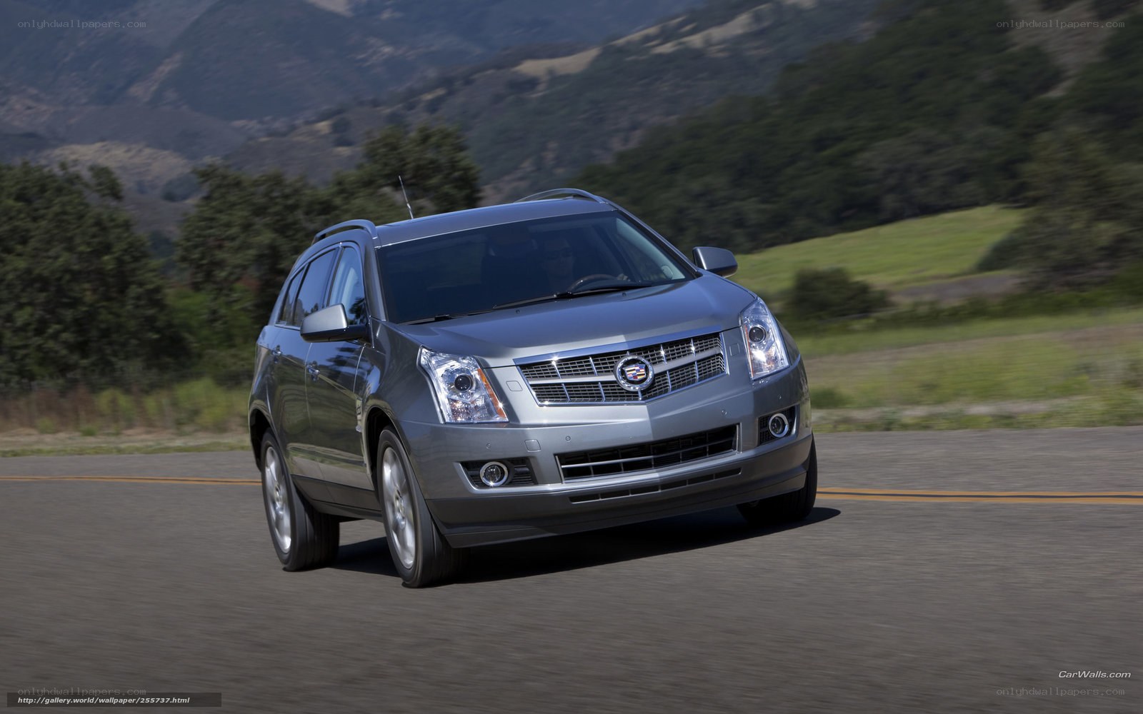 silver cadillac suv on road