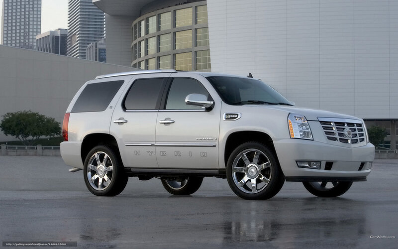 Silver Cadillac Suv — Urban, Afternoon