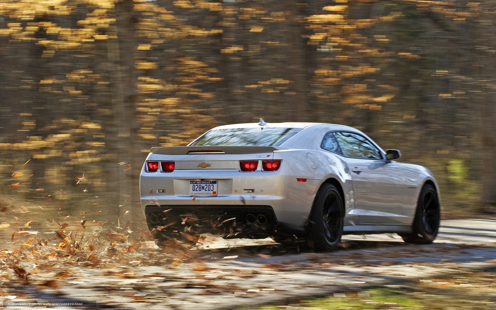 Silver Camaro on autumn road