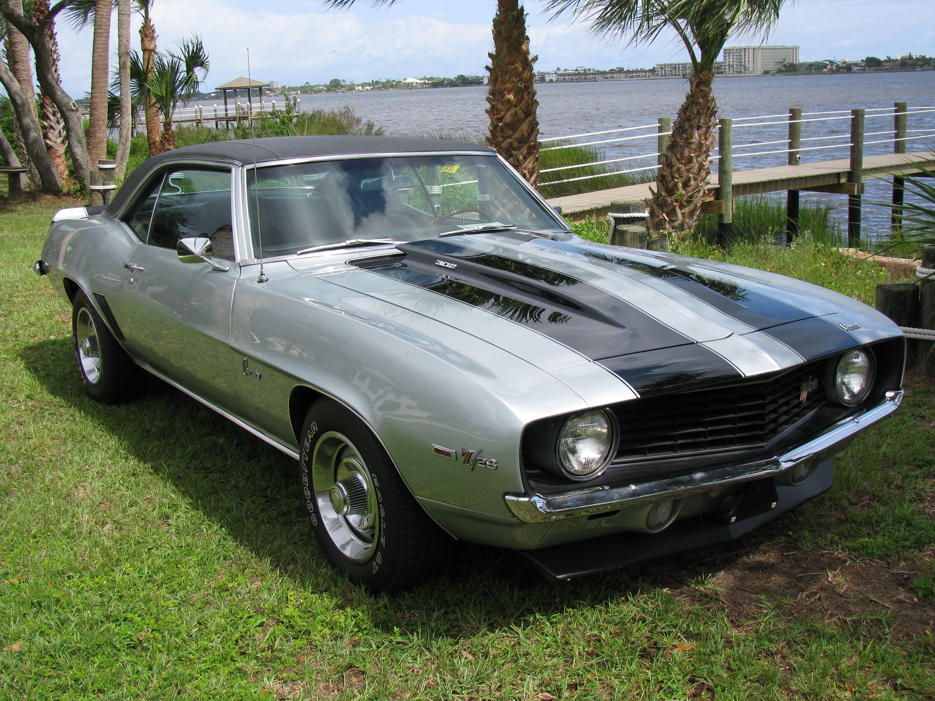 Silver Camaro on grass by water