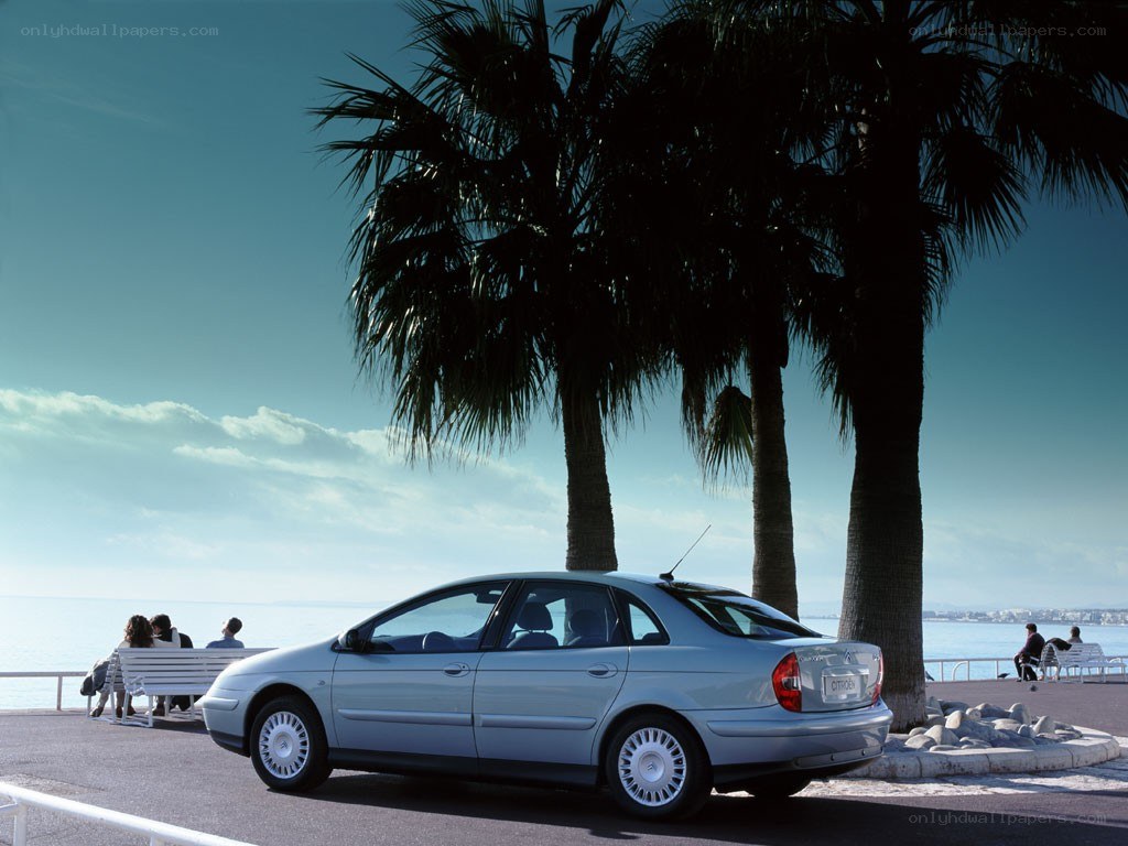 Silver car by the sea