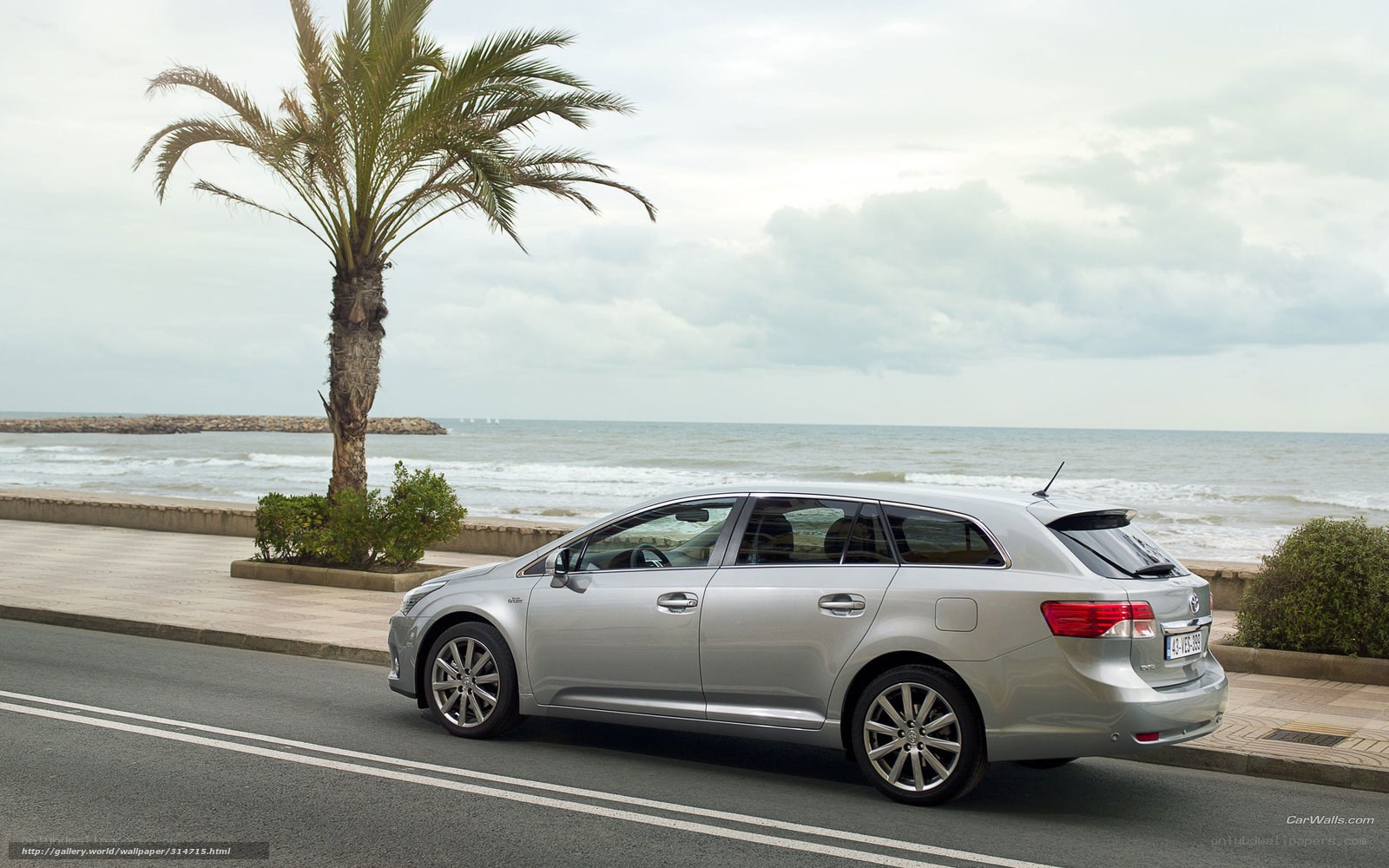 Silver car by the sea
