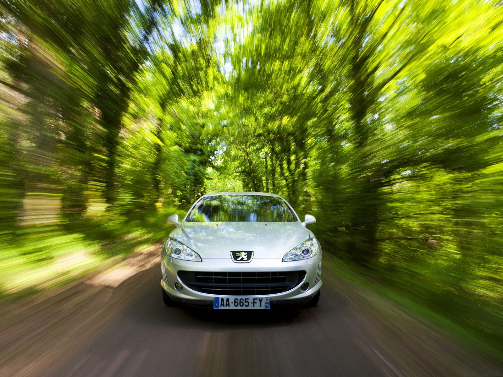 Silver car driving through forest