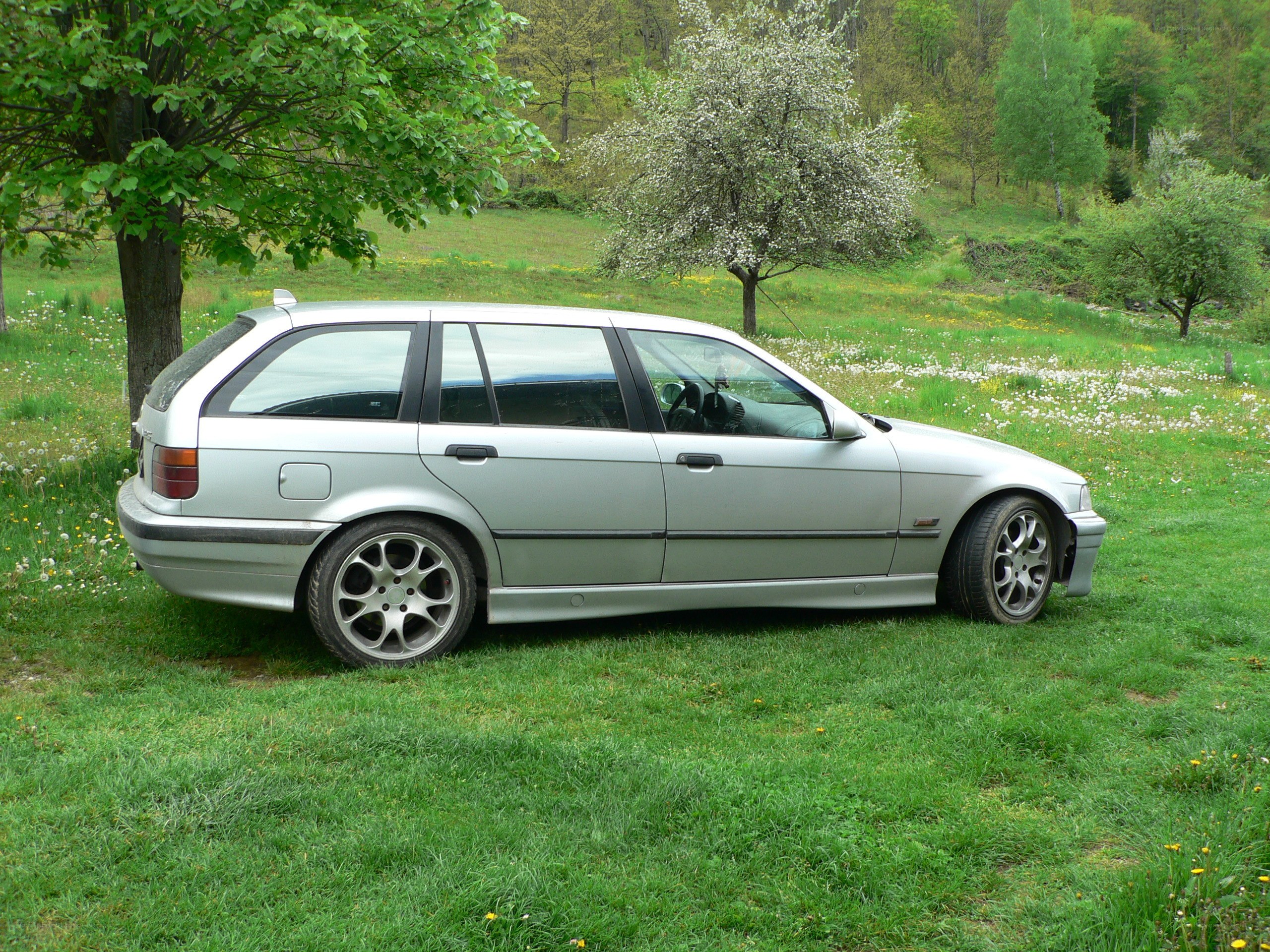 silver car in a grassy field