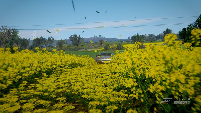 Silver Car in Flower Field