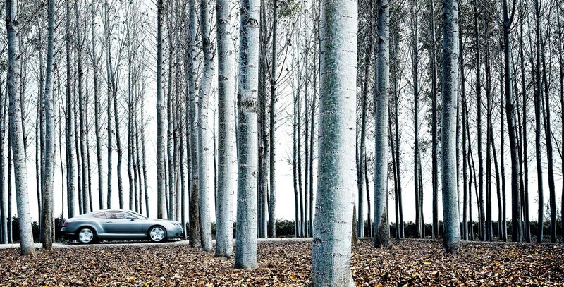 Silver Car in Forest