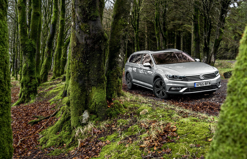 Silver car in mossy forest
