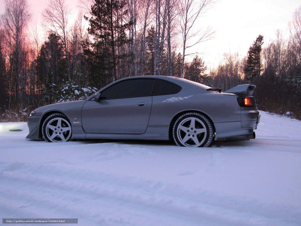 silver car in snowy forest