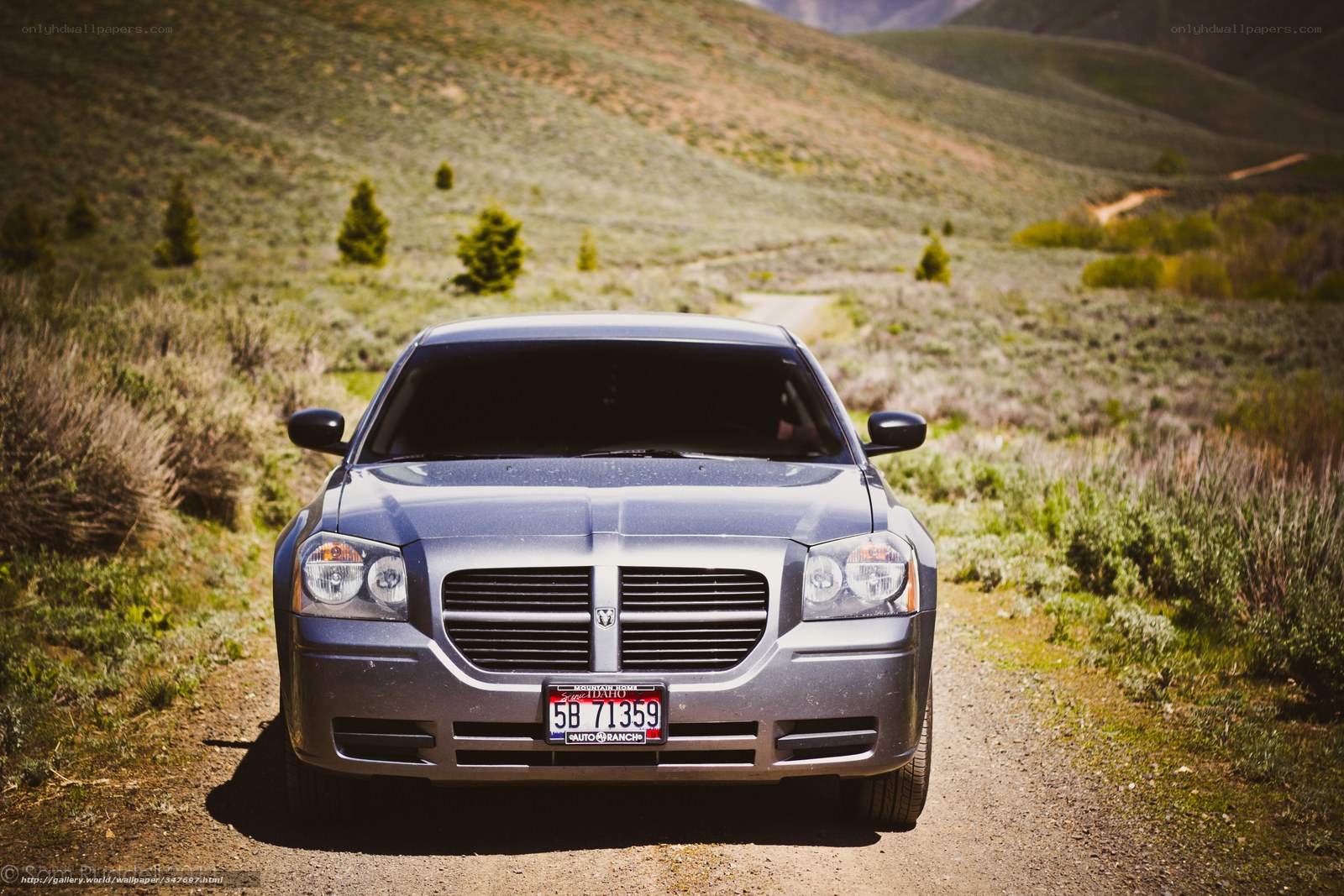 Silver car on a dirt road