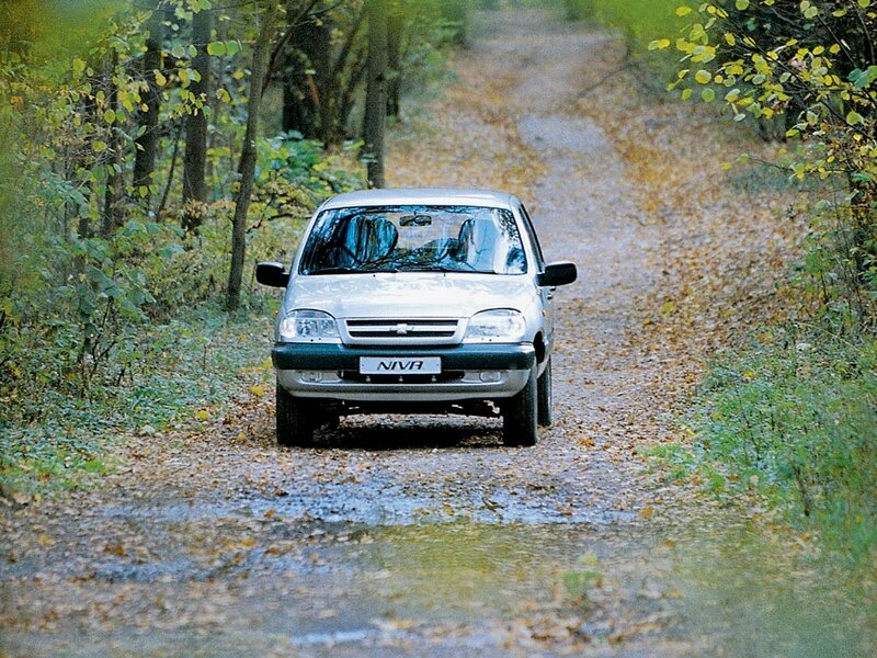 Silver car on a forest path