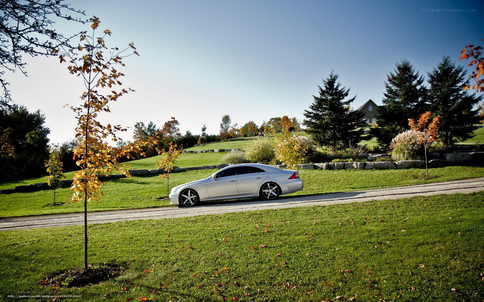 Silver car on a scenic road