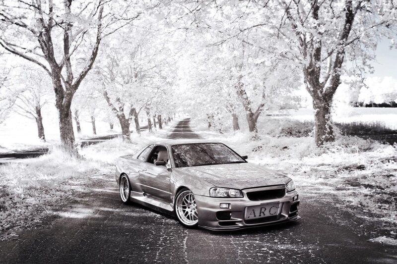Silver car on a tree-lined road