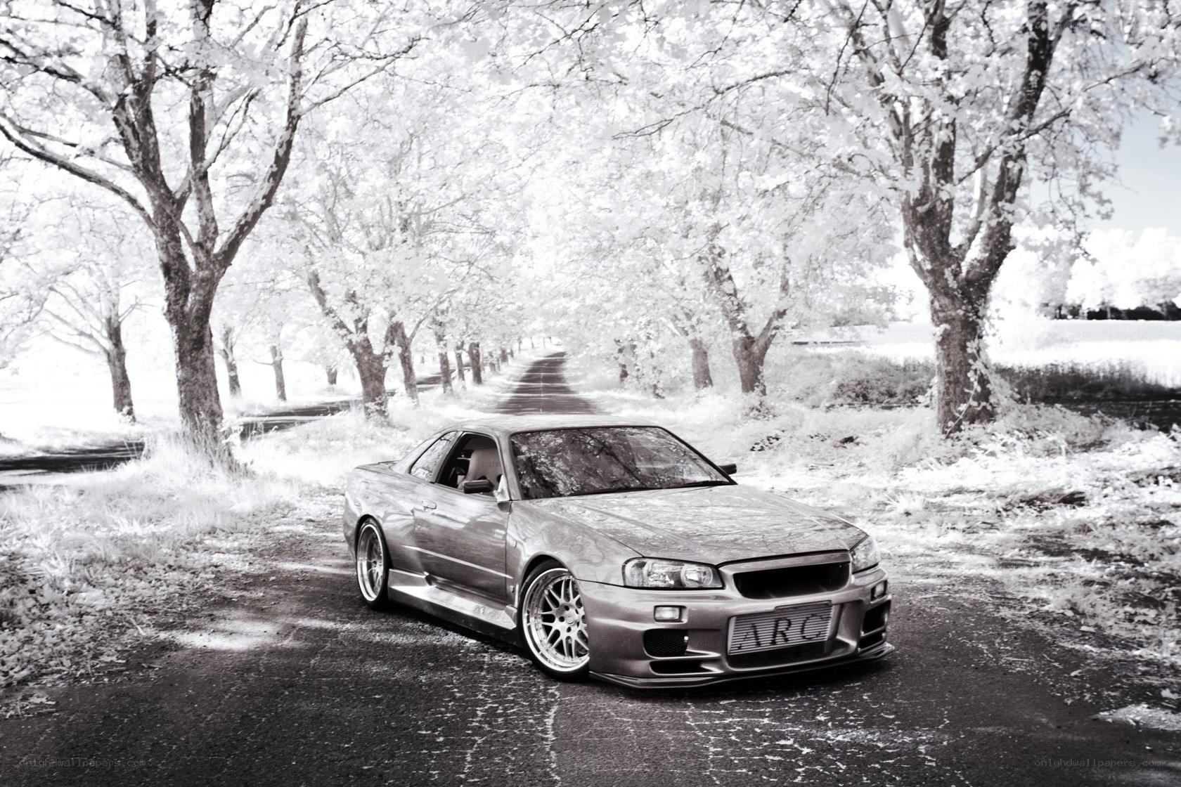 Silver car on a tree-lined road