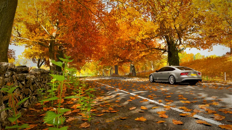 Silver Car on Autumn Road — Orange