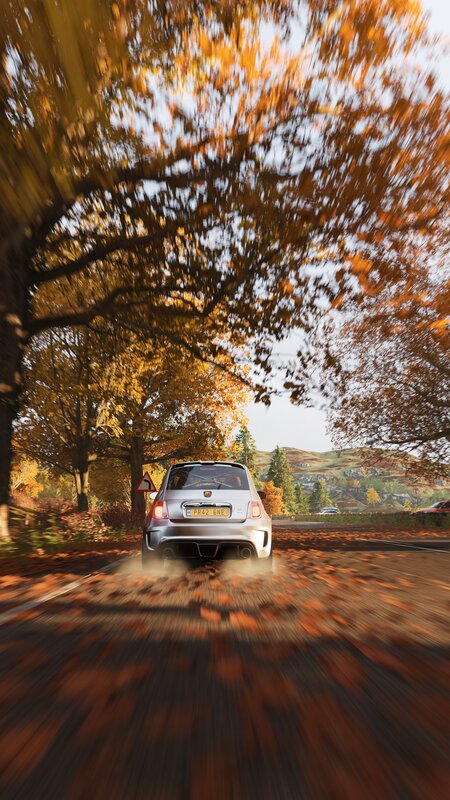 Silver Car on Autumn Road